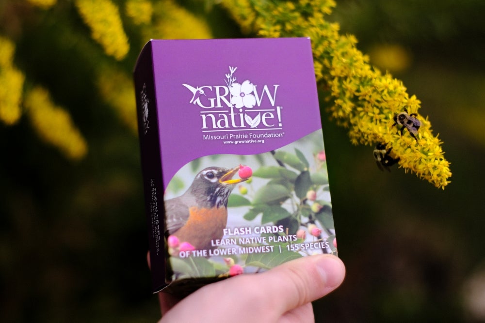 Grow Native! Flash Cards - Native Plants of the Lower Midwest | MO