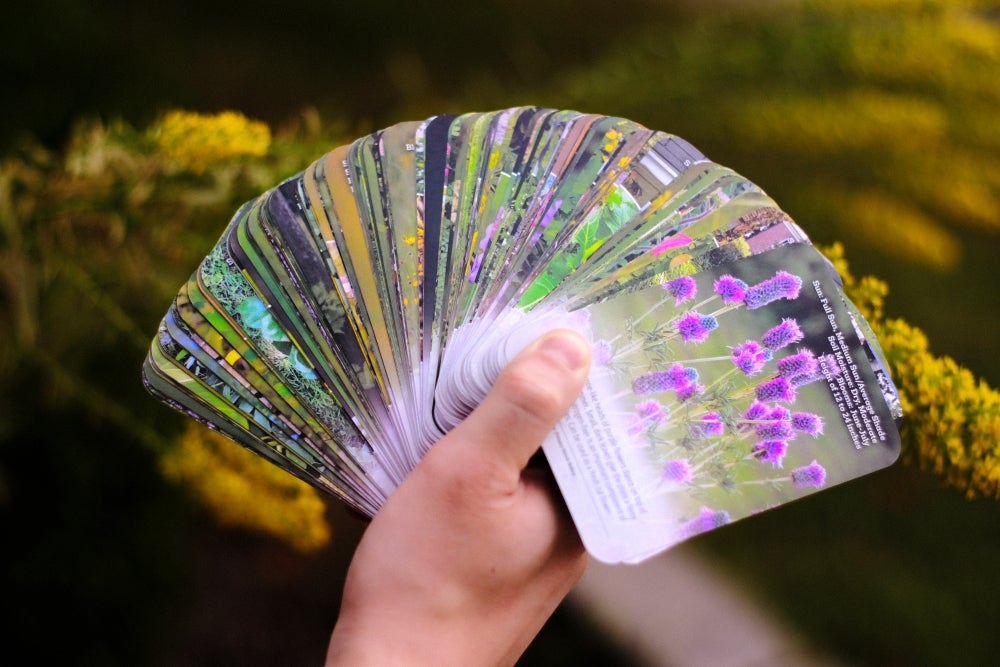 Grow Native! Flash Cards - Native Plants of the Lower Midwest | MO