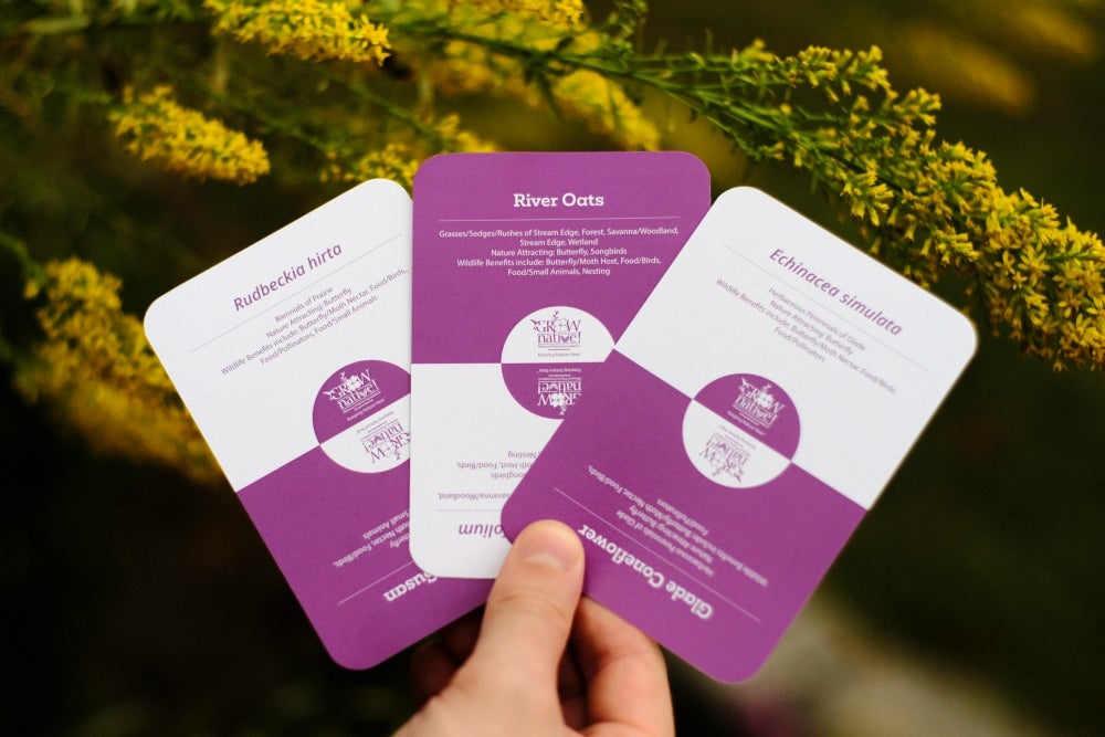Grow Native! Flash Cards - Native Plants of the Lower Midwest | MO