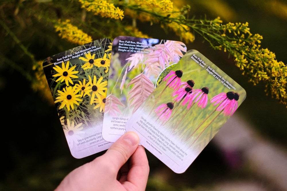 native english / native Business　CD5枚 Grow Native! Flash Cards - Native Plants of the Lower Midwest | MO